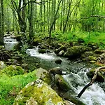 Acogedora Casa En El Pueblo De El Tiemblo Gredos Ruralrut A Solo 1 Hora De Madrid, Zonas De Bano A Pocos Metros, Reservas Naturales, Casa Completa Con Cabina Hidromasaje Y Aire Acondicionado El Tiemblo