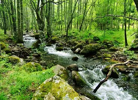 Gredos Ruralrut El Tiemblo A 1 Hora De Madrid, Cerca Del Castanar Y Valle De Iruelas, Cabina Hidromasaje, Aire Acondicionado, Wifi Incluido 埃尔蒂恩夫洛