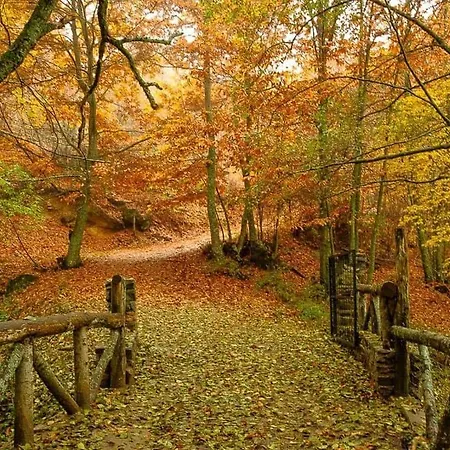 Gredos Ruralrut Cerca Del Castanar De El Tiemblo, Reserva Natural Valle De Iruelas, Acogedor Con Hidromasaje, Chimenea Electrica, Calefaccion, Wifi, Cocina *