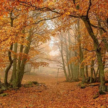 Gredos Ruralrut Cerca Del Castanar De El Tiemblo, Reserva Natural Valle De Iruelas, Acogedor Con Hidromasaje, Chimenea Electrica, Calefaccion, Wifi, Cocina Villa