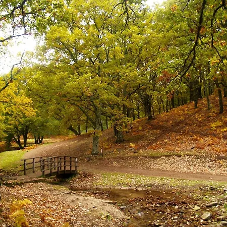 Gredos Ruralrut El Tiemblo Cerca Del Castanar Y La Reserva Natural Valle De Iruelas Y Zonas De Bano Naturales, Aire Acondicionado Cabina De Hidromasaje, Precios Especiales A Partir De 7 Noches