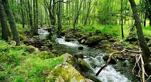 Gredos Ruralrut El Tiemblo Cerca Del Castanar Y La Reserva Natural Valle De Iruelas Y Zonas De Bano Naturales, Aire Acondicionado Cabina De Hidromasaje, Precios Especiales A Partir De 7 Noches El Tiemblo