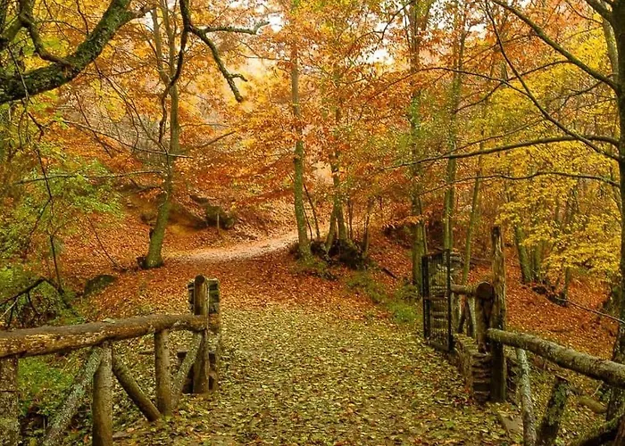 Gredos Ruralrut El Tiemblo Cerca Del Castanar Y La Reserva Natural Valle De Iruelas Y Zonas De Bano Naturales, Aire Acondicionado Cabina De Hidromasaje, Precios Especiales A Partir De 7 Noches *