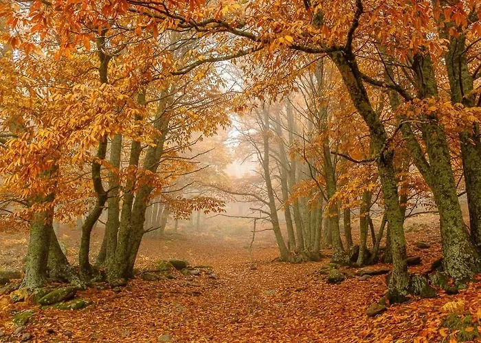 Gredos Ruralrut El Tiemblo, Cerca Del Famoso Castanar, La Reserva Natural Valle De Iruelas Y Zonas De Bano Naturales A Pocos Metros Villa