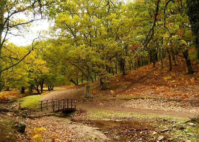 Gredos Ruralrut El Tiemblo Cerca Del Castanar Y La Reserva Natural Valle De Iruelas Y Zonas De Bano Naturales, Aire Acondicionado Cabina De Hidromasaje, Precios Especiales A Partir De 7 Noches